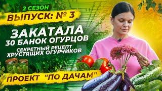  ОГУРЦЫ, КОТОРЫЕ ВАС УДИВЯТ! СЕКРЕТНЫЙ РЕЦЕПТ ЗАСОЛКИ ОТ МАРИИ  | «ПО ДАЧАМ» | 2 сезон 3 серия