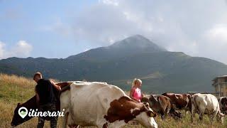 ITINERARI: DA ARTAVAGGIO AL GHERARDI.DAVIDE E VALERY LA NUOVA VITA DA RIFUGISTI AL CAZZANIGA MERLINI