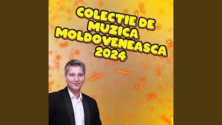 STRAINATATE OF COLAJ MUZICA DE STRAINTATE Strainatatea 2024 Melodii strainatate