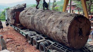 Wood Cutting Skills // Giant Trees Are Processed In The Factory