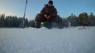 Пытался поймать ершей, а клевал один окунь.