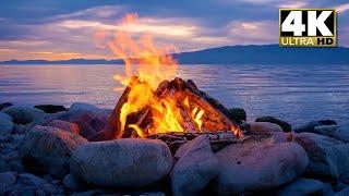 Live: Lakefront Campfire at Sunset | Crackling Fire, Water & Crickets in 4K for Sleep & Relaxation