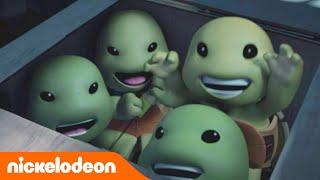 Черепашки-ниндзя | Самые милые черепашки | Nickelodeon Россия