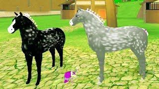 Broken Leg? Horse World New Percheron Horses ! Let's Play Roblox