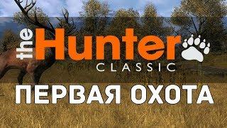 theHunter Classic - первая охота / обзор / обучение /