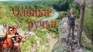 Оленьи ручьи. Поход по парку. История, достопримечательности, легенды