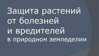 Природное земледелие - Защита растений