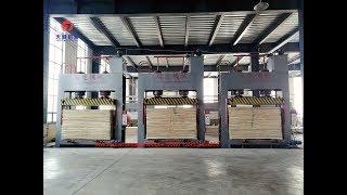 plywood machine -- 500ton cold press and hot press for indonesia and india market.