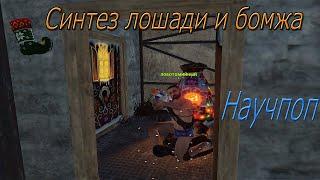 СИНТЕЗ ЛОШАДИ И БОМЖА В RUST(НАУЧПОП)