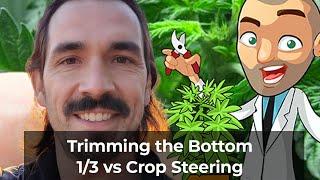 Trimming the Bottom 1/3 vs Crop Steering