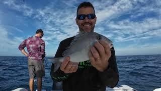 Amazing fish catching in sea | fish hunting | mojo fishing