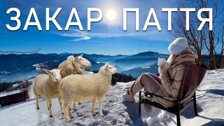 ЗАКАРПАТТЯ. Де знайти спокій у горах? Роза вітрів.  ПАКУЄМО ВАЛІЗИ.