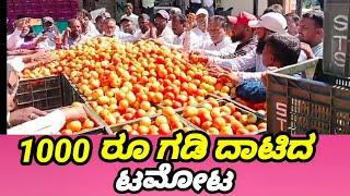 1000 ಸಾವಿರ  ರೂಗಳ ಗಡಿ ದಾಟಿದ ಟಮೋಟ