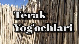 Terak Yog'ochlari | Shahrisabz taxta bozor | 12.08.2021 | Тахта бозор нархлари | Qurulish mollari