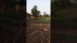 Village life in Africa #2024#travel#traditional Africa #gospelmusic #song #music