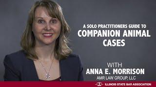 A Solo Practitioners Guide to Companion Animal Cases