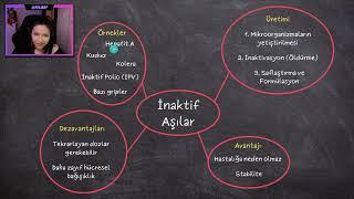 Aşılar Nasıl Çalışır? Doğru Bilinen Yanlışlar