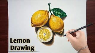 How to Draw Some Lemon | Drawing of Lemon 3D art | Lemon Drawing