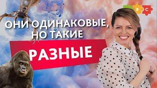 Я покрасила волосы и убила их или как не запутаться в омофонах