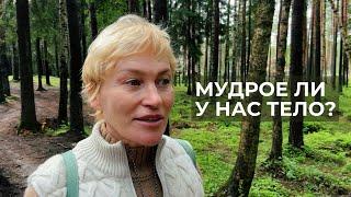 Мудрое ли у нас тело? Дизайн Человека