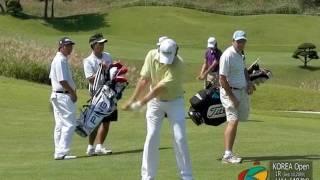 [Slow] Rory Mcilroy Iron Golf Swing on the Fairway (15)