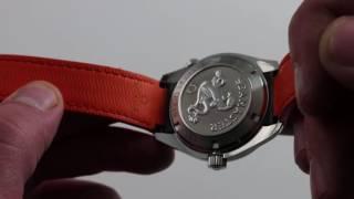 Omega Seamaster Planet Ocean 600M Co-Axial Luxury Watch Review