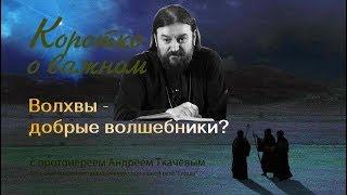 Волхвы - добрые волшебники или праведные астрологи? Прот. Андрей Ткачев За что прославлены?