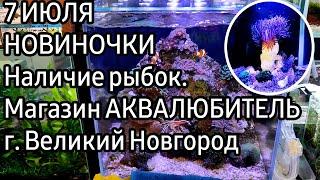 Морские аквариумы. Новинки в магазине Аквалюбитель, Великий Новгород