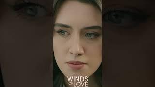 Zeynep'in mücadelesi yeni başlıyor | #windsoflove #shorts #ruzgarlitepe #turkishseries