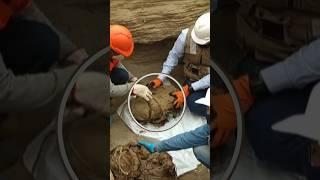800-Year-Old Mystery Unearthed in Peru | Ancient Burial With Flutes & Food