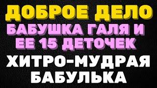 Доброе дело. Бабушка Галя и её 15 деточек. Хитро мудрая бабулька. Жажда денег на лицо.