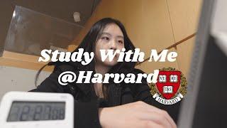 harvard study with me! | 40 minutes | reading period, finals, lofi