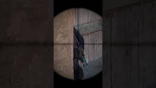 Best BAIT in CS2