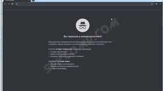 Режим инкогнито или приватный режим в браузере Chromium.