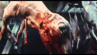 Animal Factory 2