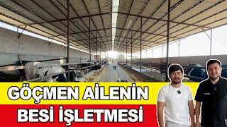 Göçmen Ailenin Besi İşletmesi