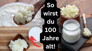 Echten Kefir zuhause herstellen! Getränk der Hundertjährigen!