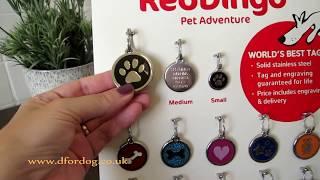 Red Dingo dog tags - stainless steel, brass, diamante and plastic dog ID tags