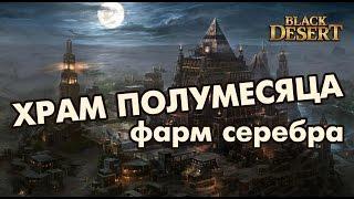 Black Desert (RU) - Храм полумесяца. Фарм золотых колец. Быстрая прокачка / топ заработок серебра