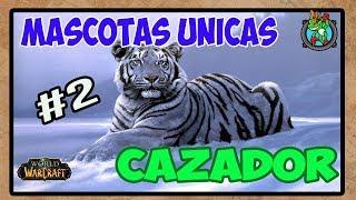 Mascotas UNICAS Cazador #2 | World of Warcraft