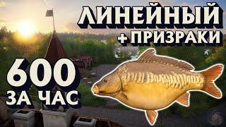 600 за час | Линейный + Призраки | ФАРМ | оз. Янтарное | Русская Рыбалка 4