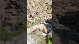 Nature of Uzbekistan