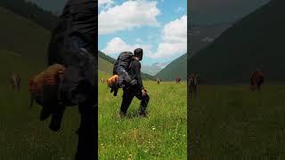 Solo Hiking Journey in Georgia’s Remote Caucasus Mountains for 12 Days - 90km Hike in Tusheti