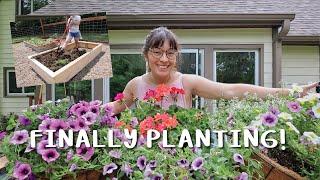 FINALLY planting veggie seeds, starts, and flowers!!  GARDEN VLOG
