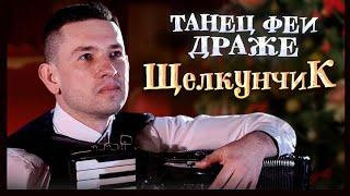 P.I.Tchaikovsky " Sugar Plum Fairy"  on accordion