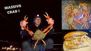 5.5lb GIANT SPIDERCRAB - Catch Clean Cook , delicious Crab Roll
