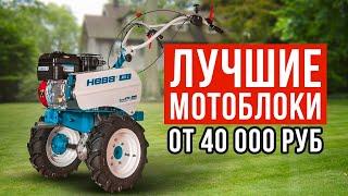 ТОП-5 мотоблоков от 40 до 120 тысяч рублей. Какой мотоблок купить?