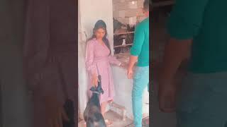Prarthana behere | Neha  Yash |animal love | Majhi Tujhi Reshimgath | animal world | short | animal