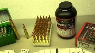 208GR HORNADY AMAX LADDER TEST