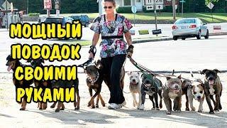 МОЩНЫЙ ПОВОДОК СВОИМИ РУКАМИ. POWERFUL LEASH WITH YOUR HANDS.